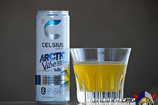 CELSIUS ARCTIC VIBE