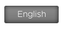 You are currently viewing the English page